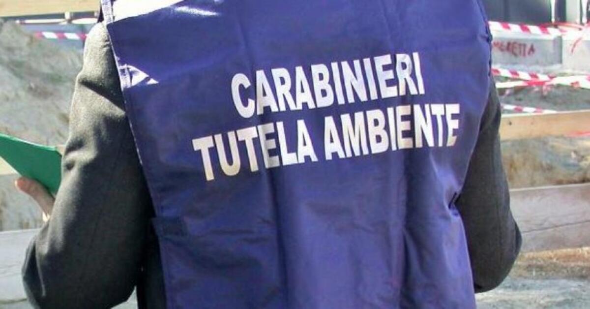 Scaricavano in un pozzo il sangue di animali macellati, arresti anche a Latina nell'operazione del Noe di Lecce - 