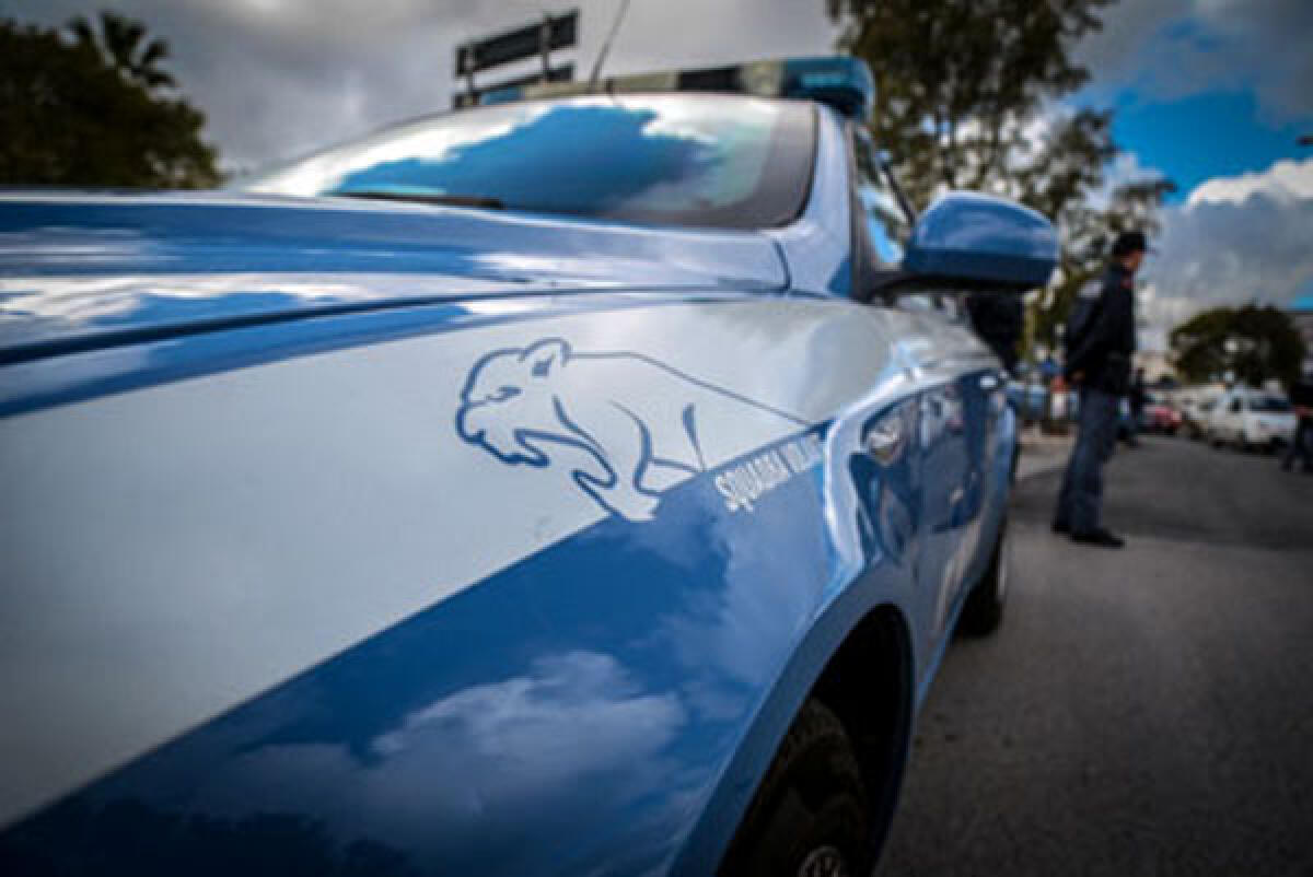 Controlli della polizia nelle armerie: ad Aprilia sospese 2 licenze - 