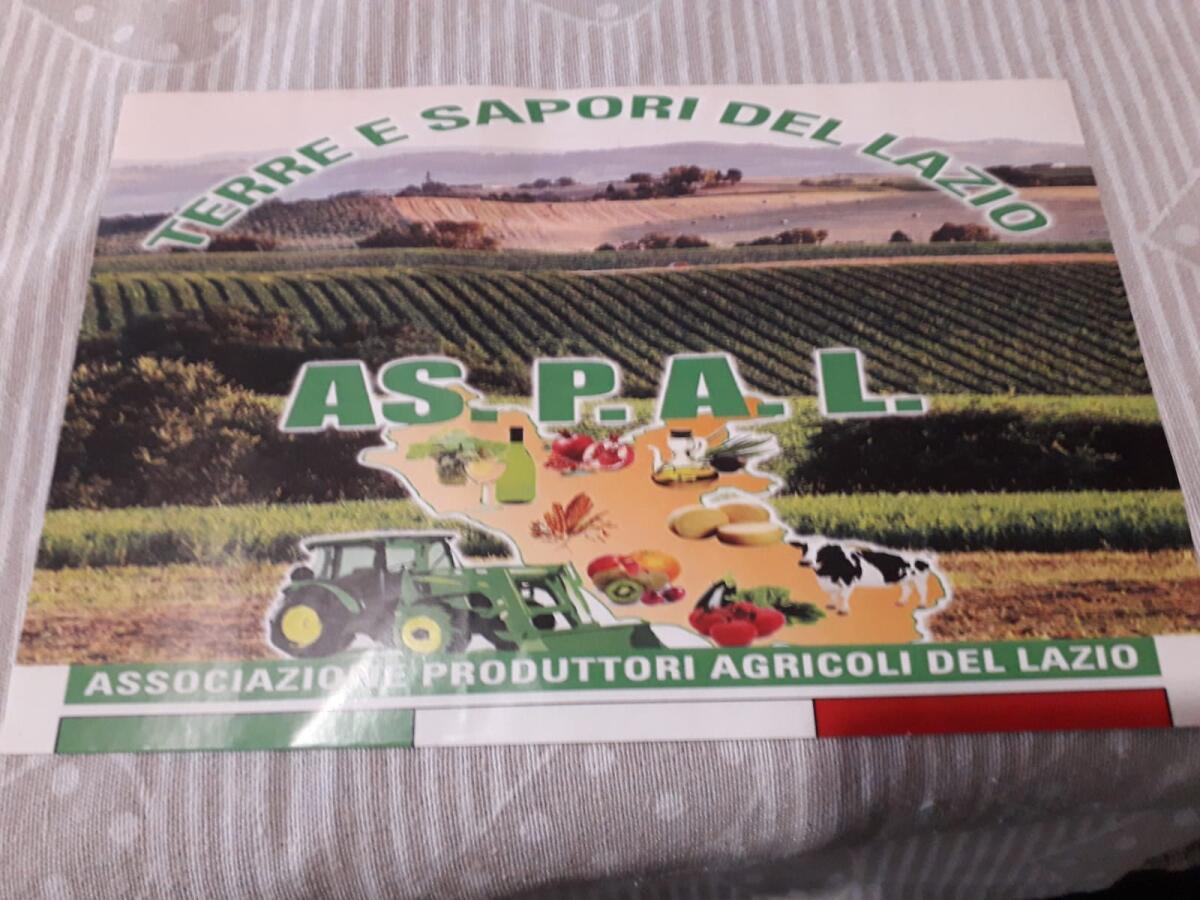 Moria del Kiwi, Aspal: Quattro milioni sono una cifra irrisoria di fronte alle migliaia di ettari persi - 