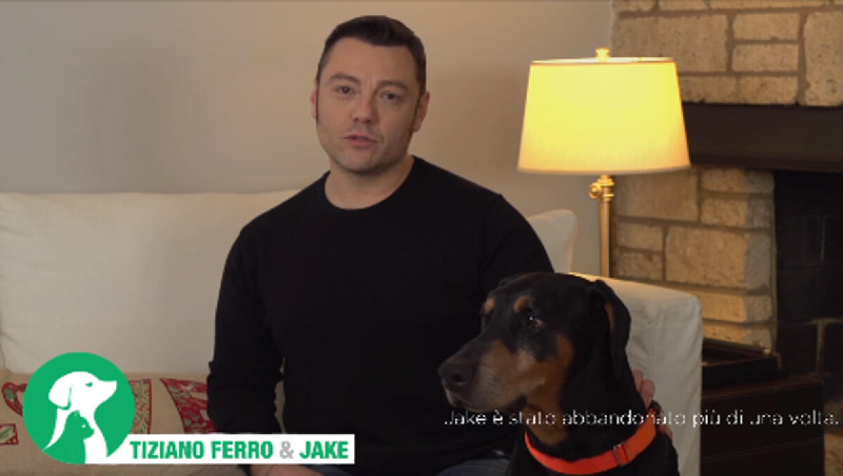 L’Oipa aderisce a “Code di casa”, la nuova campagna del Ministero della Salute per le adozioni e contro l’abbandono. Testimonial Tiziano Ferro - 