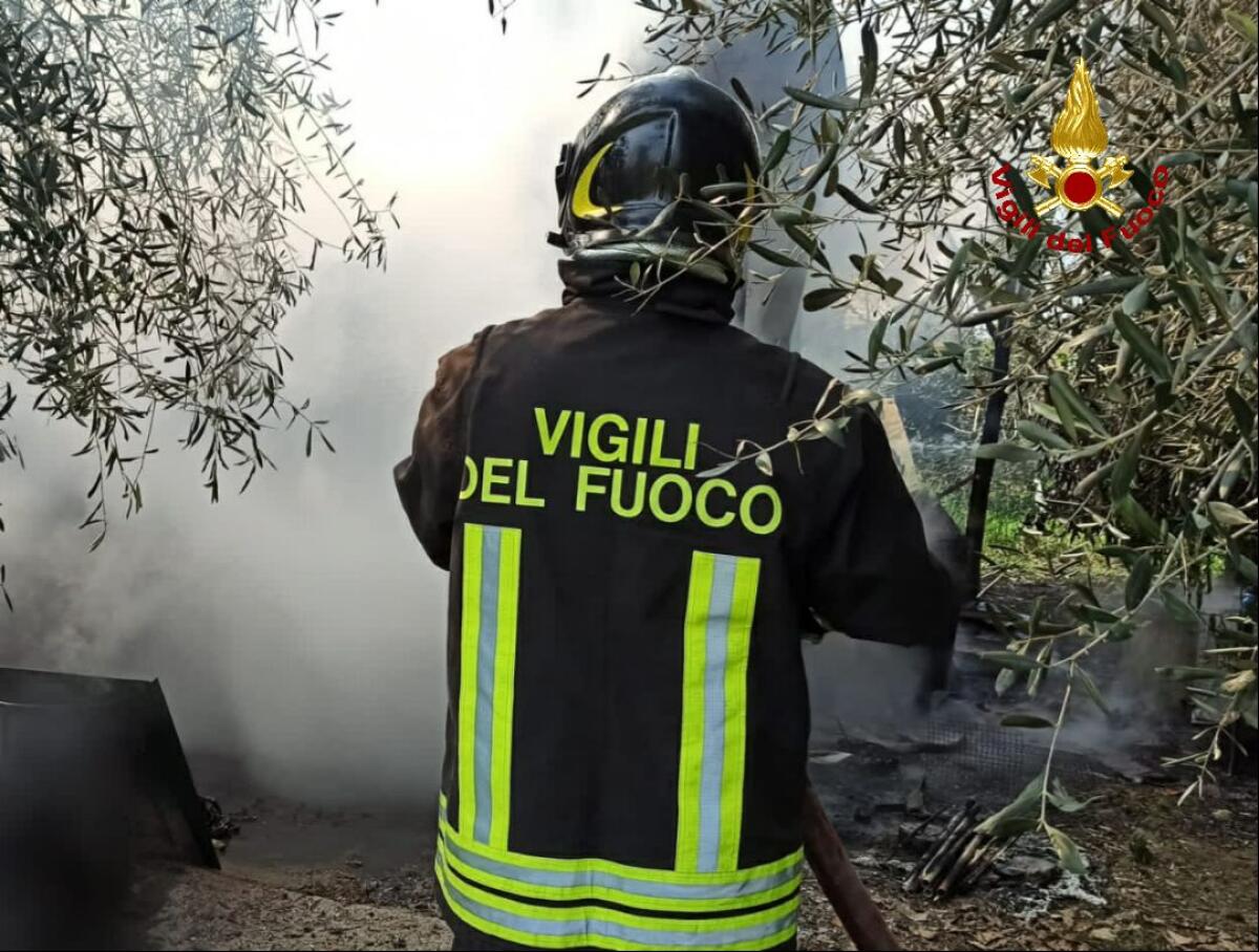 Incendio in un pollaio nel sud pontino, salvi gli animali - 