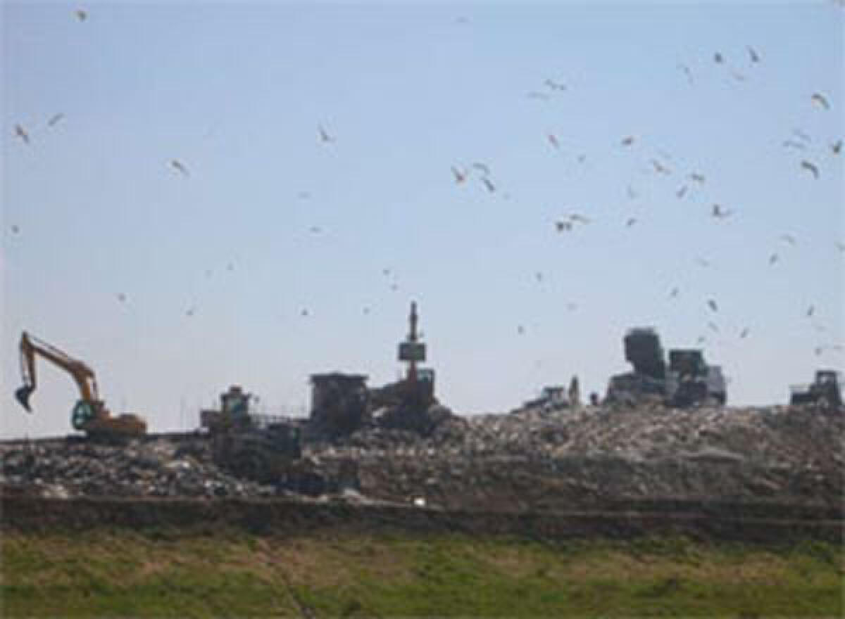 Discarica in provincia di Latina, In Azione: "Non si faccia scarica barile" - 