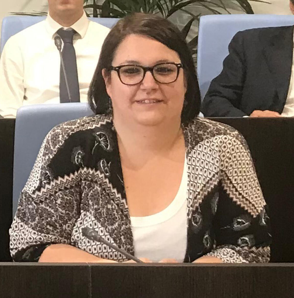 Aprilia - Furto alla Deledda, l'assessore Caporaso: "Valutiamo opportunità di elevare il livello di sorveglianza su questi edifici" - 