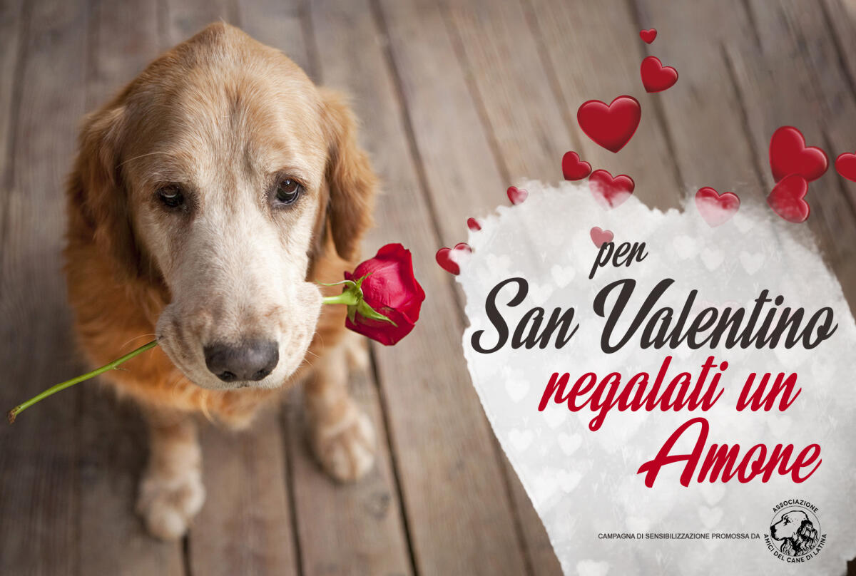 L’Associazione Amici del Cane di Latina lancia la campagna di adozione “Per San Valentino regalati un Amore”. - 
