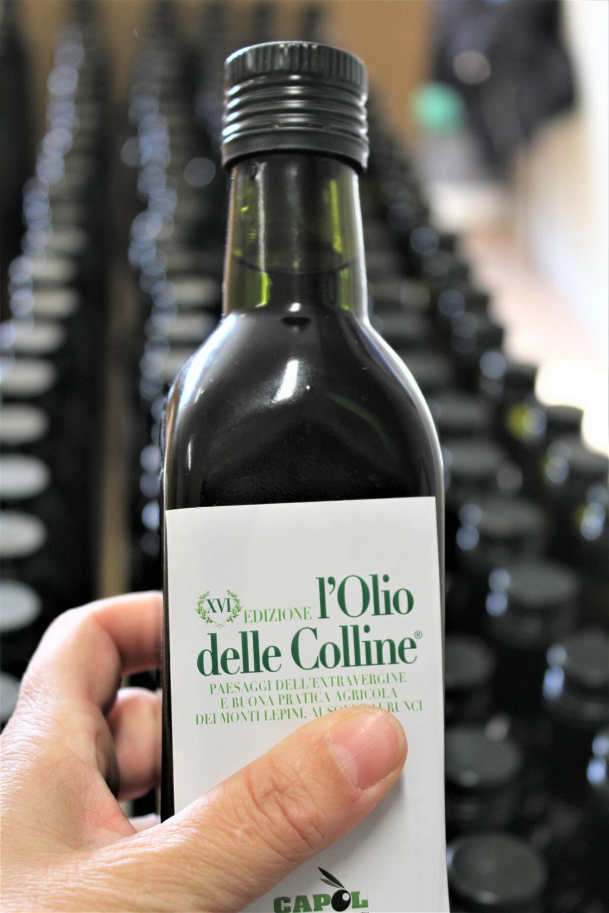 MAENZA - Concorso provinciale “L’Olio delle Colline” organizzato dal CAPOL: ecco i vincitori della XVI edizione. - 