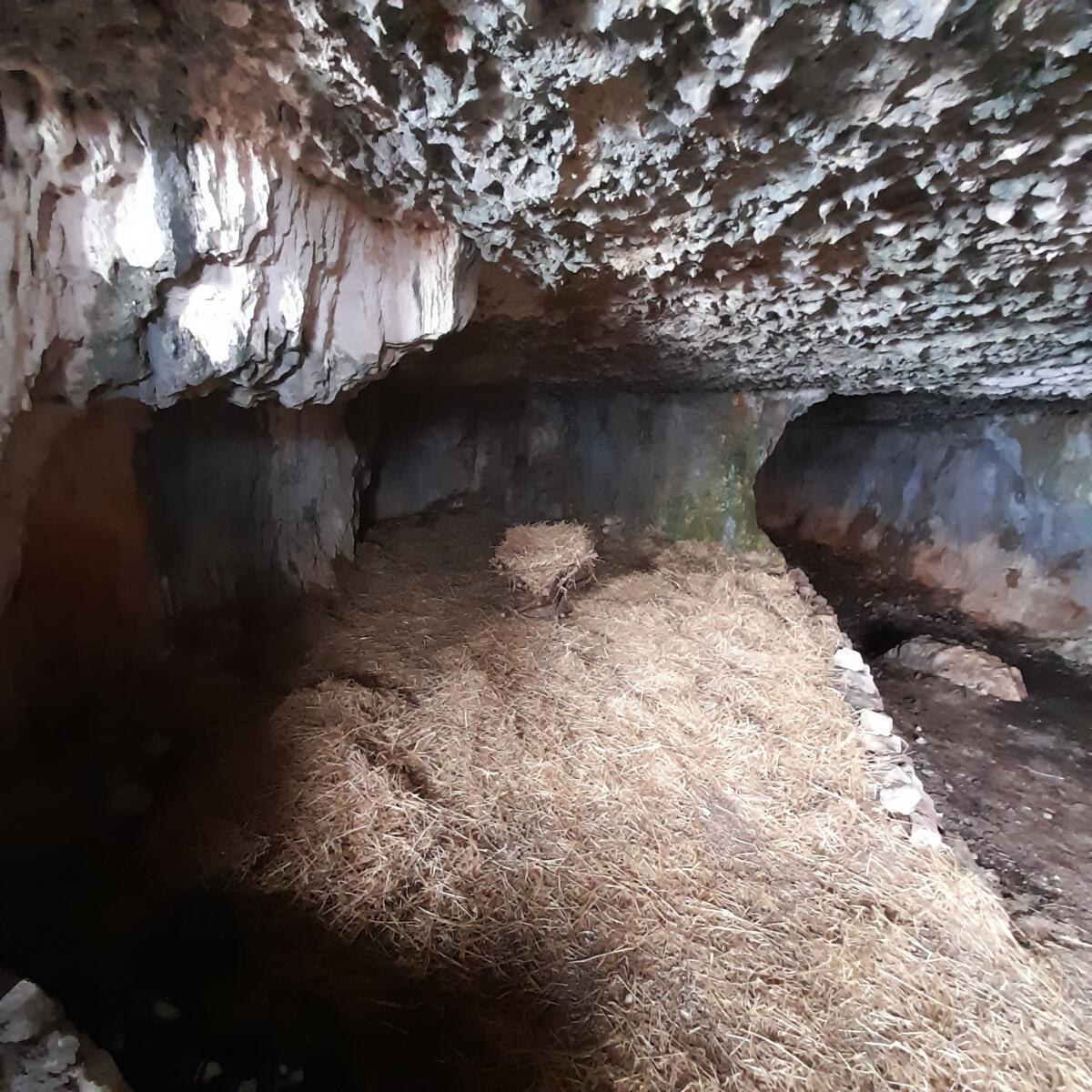 Riportati all’antico splendore alcuni luoghi caratteristici dell'Anfiteatro di Sezze FOTO - 