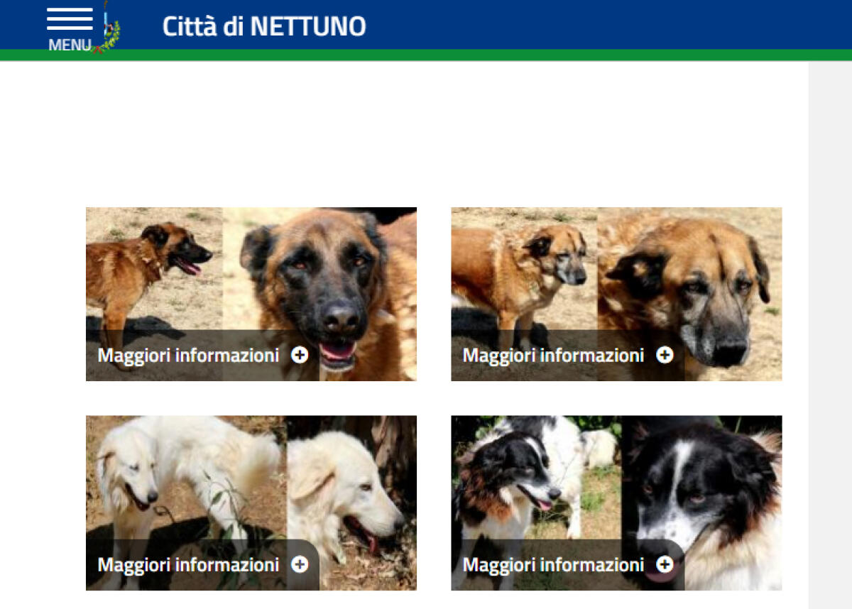 Il Comune di Nettuno sostiene l’iniziativa "adotta il tuo amico 4 zampe" - 