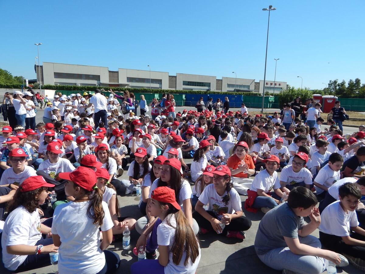 Aprilia, torna Differenzio anch'io. Il Comune stanzia 5 mila euro per i premi in buoni spesa e materiale scolastico - 