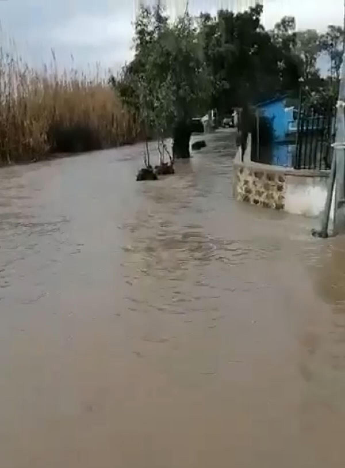 Maltempo: decine di interventi tra le province di Roma e Latina. Disagi anche ad Aprilia, Latina e ai Castelli.VIDEO - 