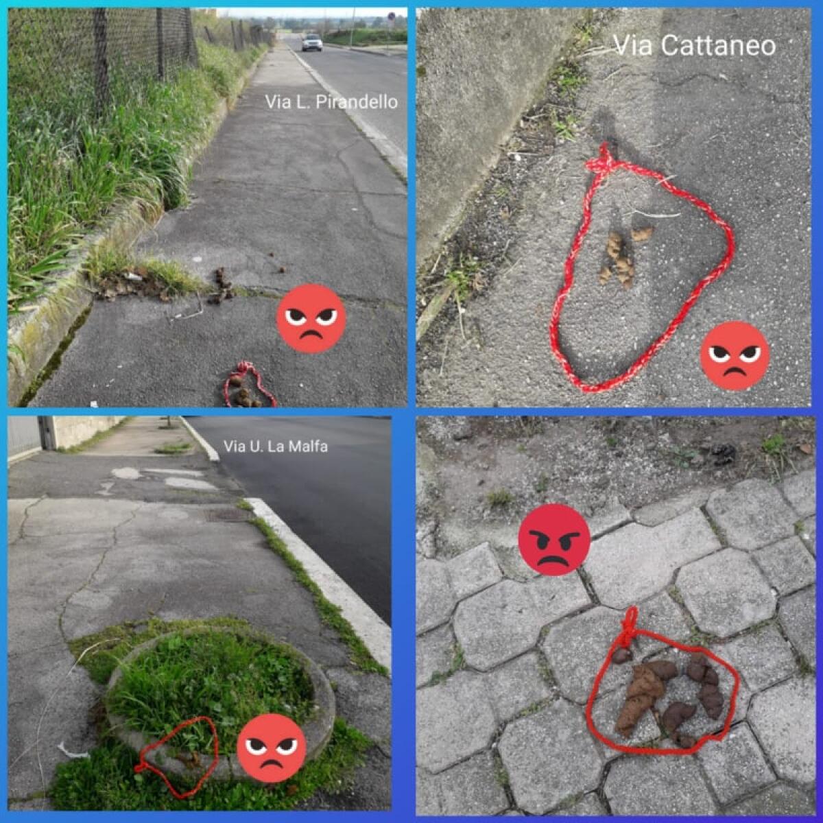 Marciapiedi ed aiuole costellate di escrementi di cani: compaiono ad Aprilia i “fiocchetti rossi di lana” per denunciare gli incivili. - 