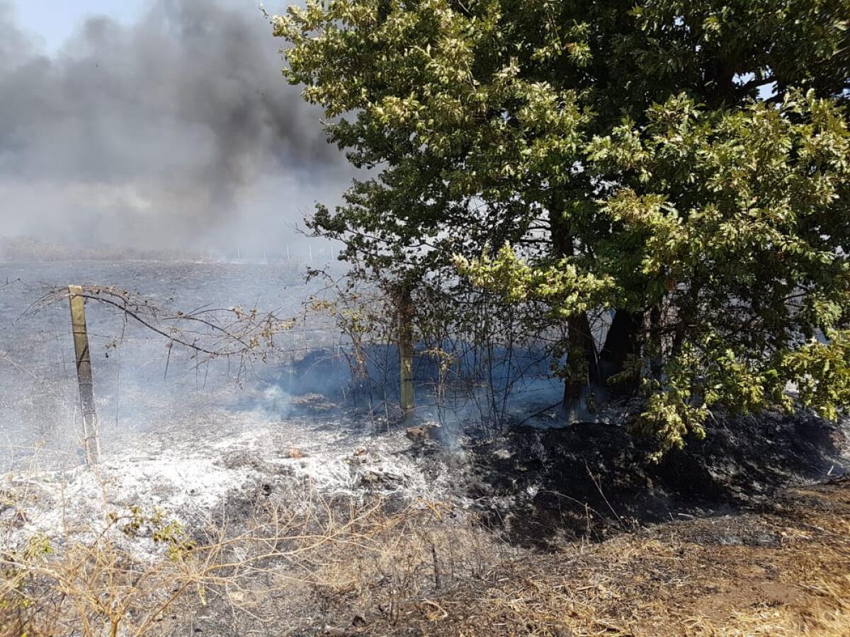 Incendio ad Ariccia, prende fuoco un campo incolto - 