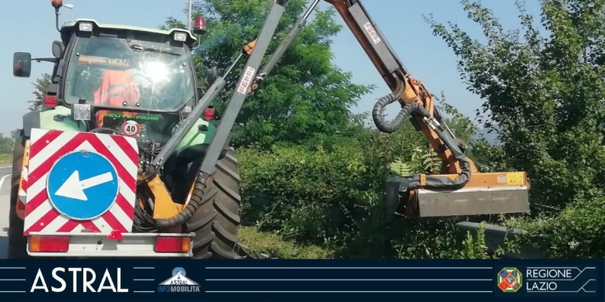 Lavori di messa in sicurezza delle alberature lungo via Piave a Latina. Istituito il divieto di sosta. - 