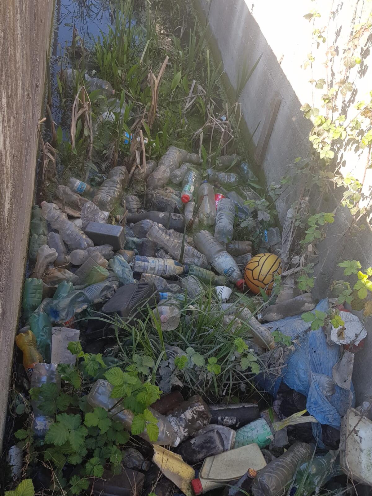 Aprilia, Borgata Agip invasa dai rifiuti: i cittadini si rimboccano le maniche FOTO - 