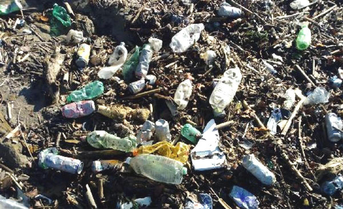 Regione: "Istituita cabina di monitoraggio per l'attuazione del piano rifiuti" - 