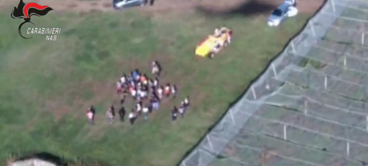 Caporalato e uso di fitofarmaci, 7 arresti tra le province di Latina e Venezia: braccianti minacciati, ammassati nei furgoni e senza Dpi - FOTO e VIDEO - 