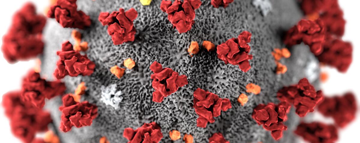 Coronavirus - A Nettuno muore una donna di 72 anni - 