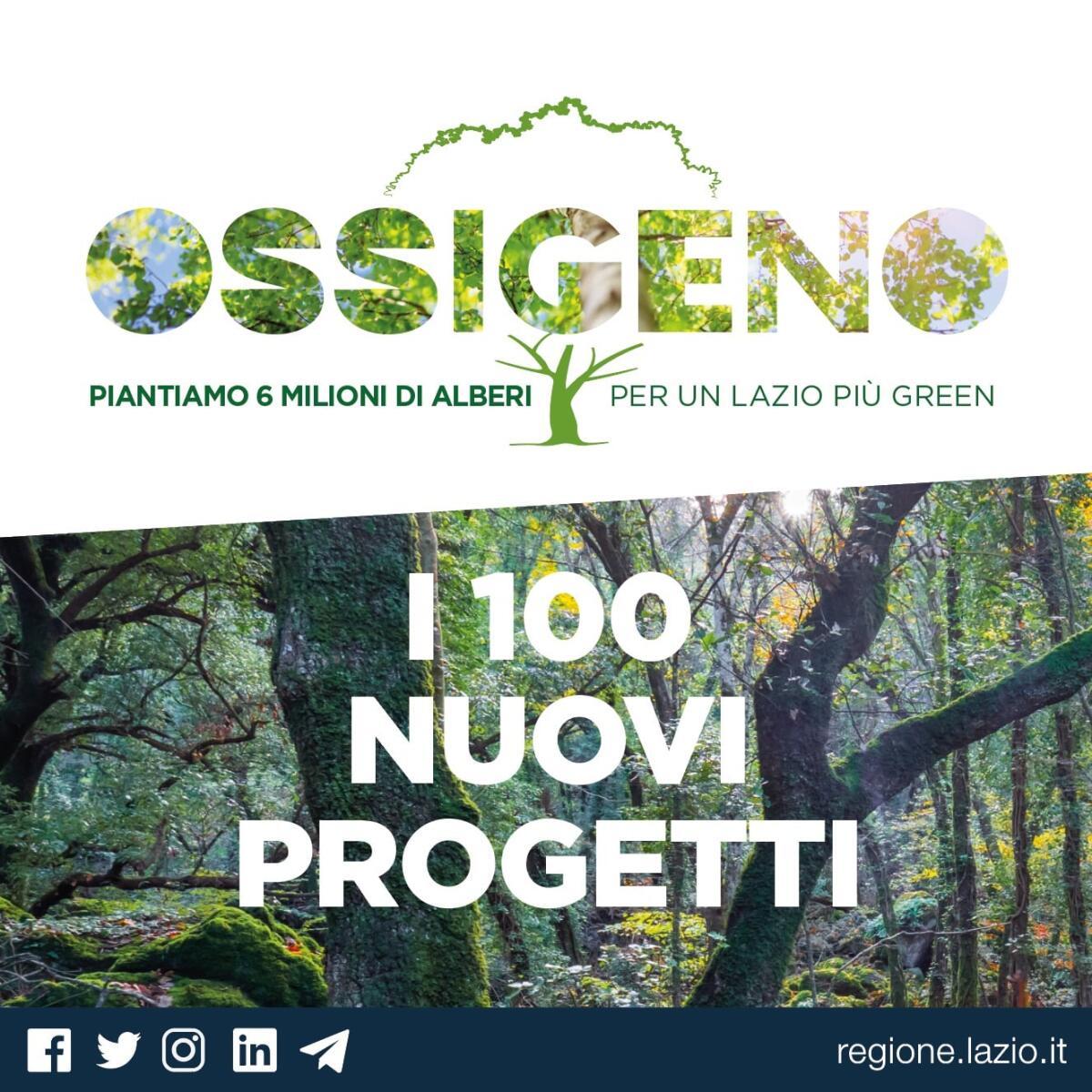 La Regione Lazio approva le graduatorie del progetto “Ossigeno”: 6 milioni di euro per 100 nuovi progetti e 42mila nuove piante. - 