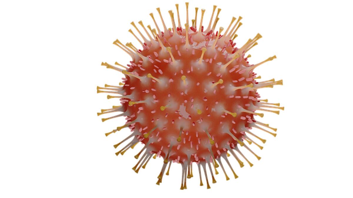 Sei nuovi casi di Coronavirus a Nettuno e 28 guarigioni. - 