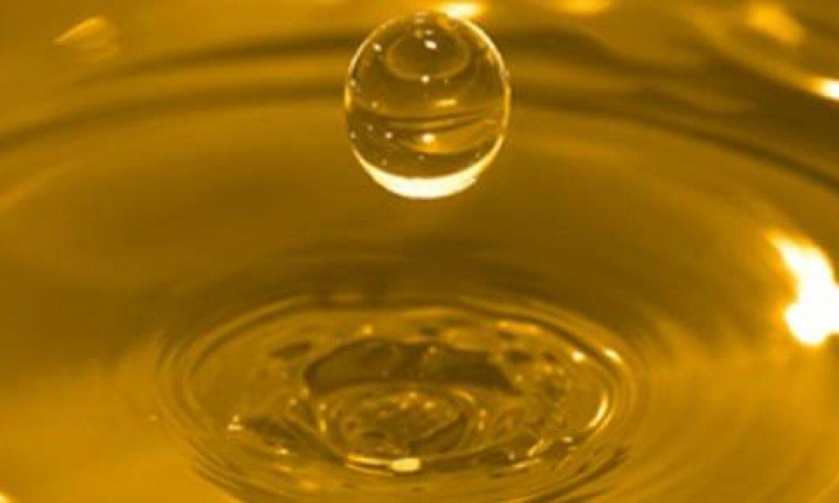 Decolla la raccolta di oli alimentari esausti in 45 piccoli comuni del Lazio - 