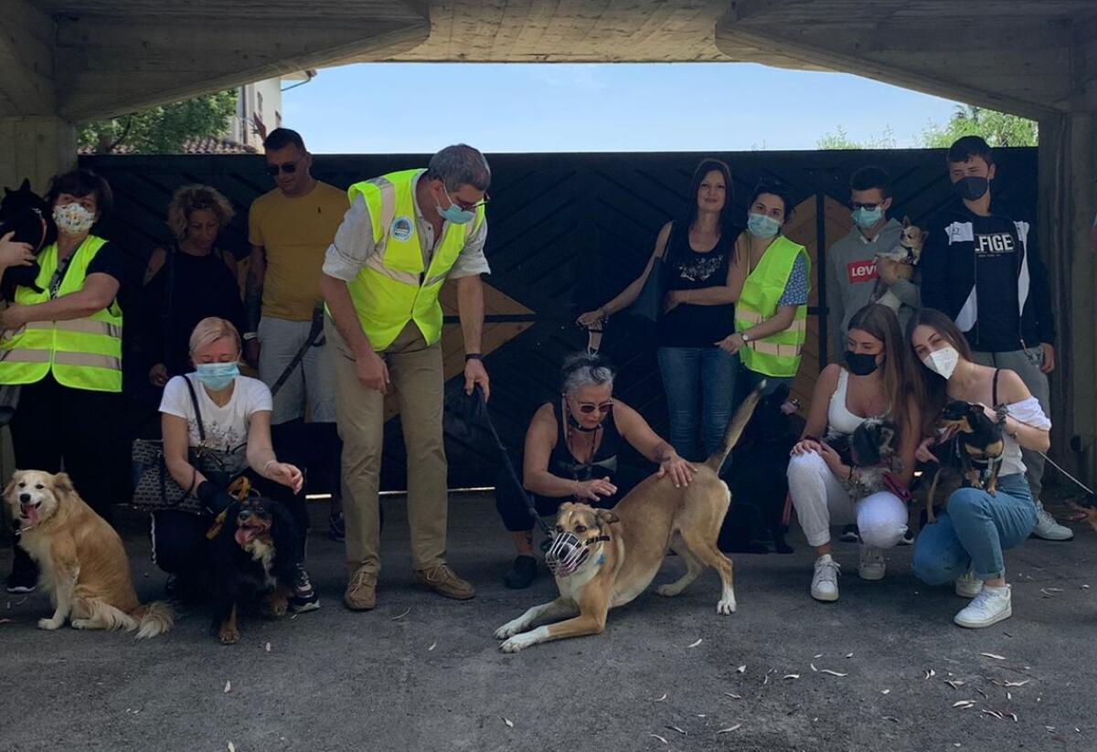 Labrador ucciso a bastonate, ad Aprilia. Il quartiere Fossignano reagisce: manifestazione in strada con i propri amici a 4 zampe. “Chi sa denunci”. - 