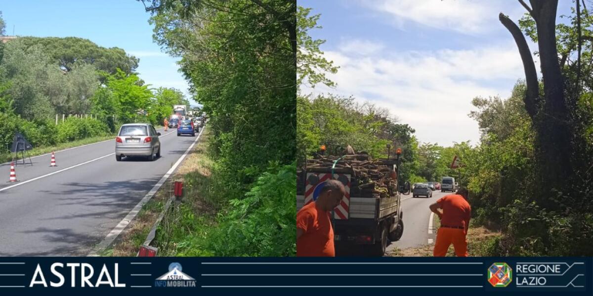 Code anche oggi sulla Nettunense per lavori di potatura tra Aprilia e Lanuvio. - 