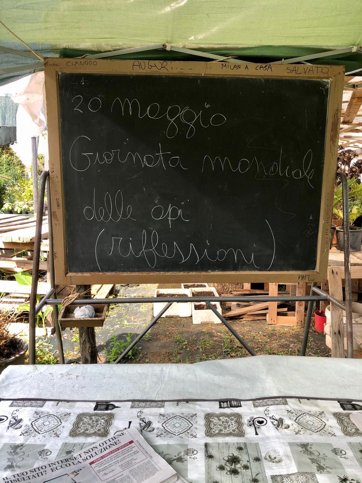 Giornata mondiale delle Api, ad Aprilia un progetto tra l’Asilo Nido “Domenico D’Alessio” e la Serra Fotovoltaica. Le FOTO - 