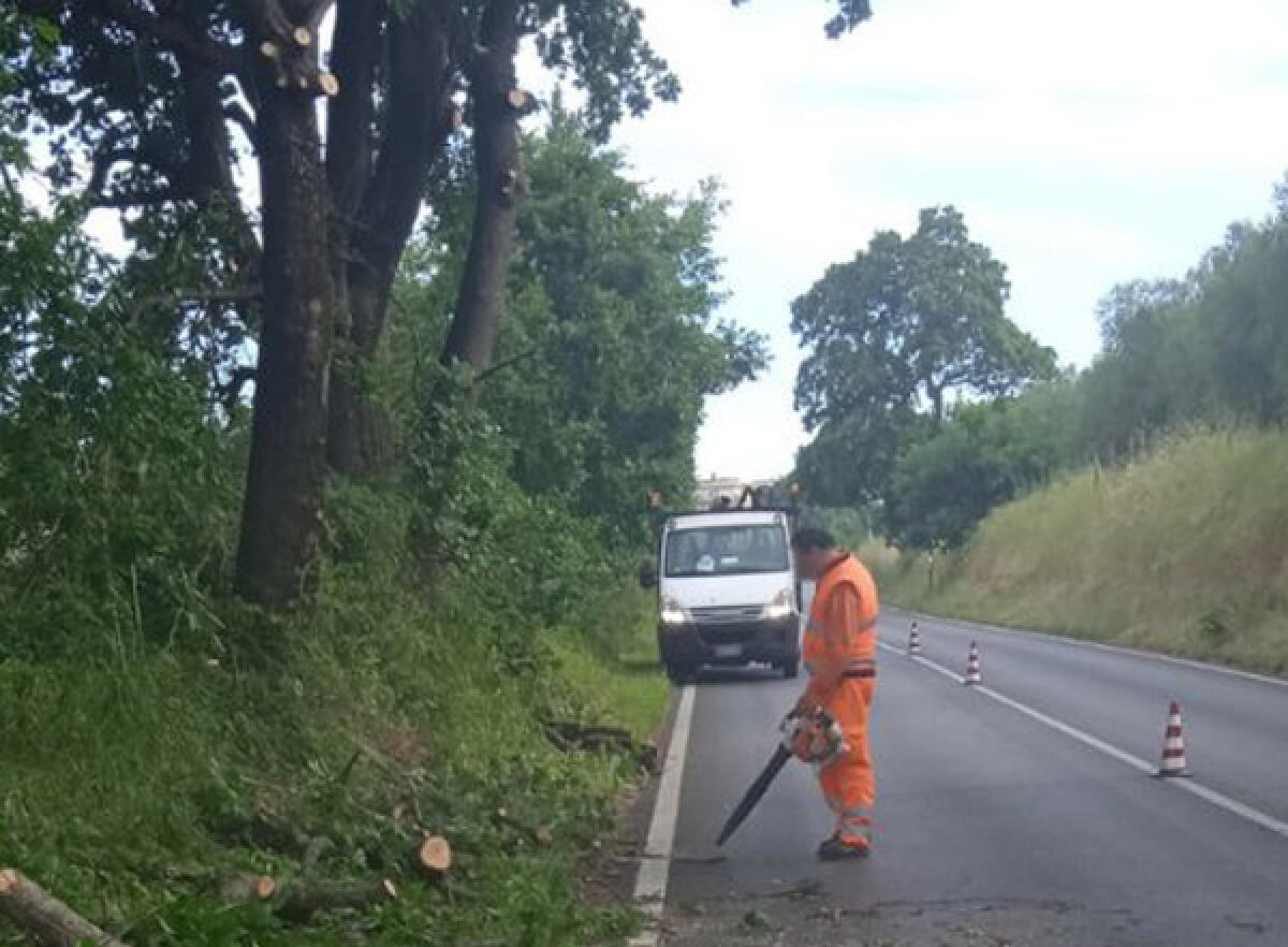 Senso unico alternato oggi sulla Nettunense per lavori di potatura tra Aprilia e Lanuvio. - 