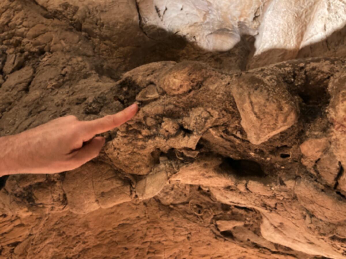 Le ricerche dell’INGV sulla costa laziale per la recente scoperta dei reperti Neandertaliani del Circeo - 