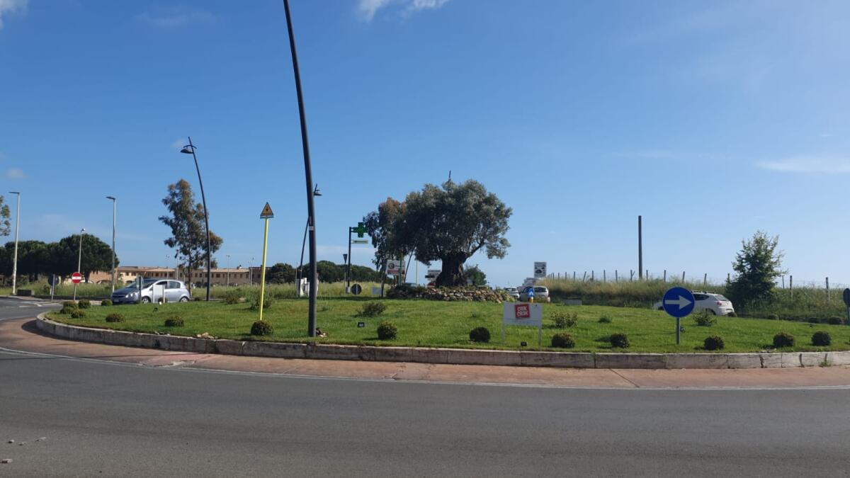 L’azienda Crik Crok di Pomezia adotta uno spazio verde della città. - 