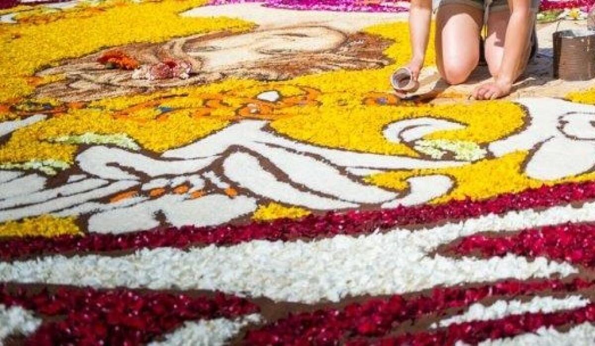 Infiorata di Genzano, al Parco Sforza Cesarini l'esposizione di quadri infiorati e una mostra fotografica - 