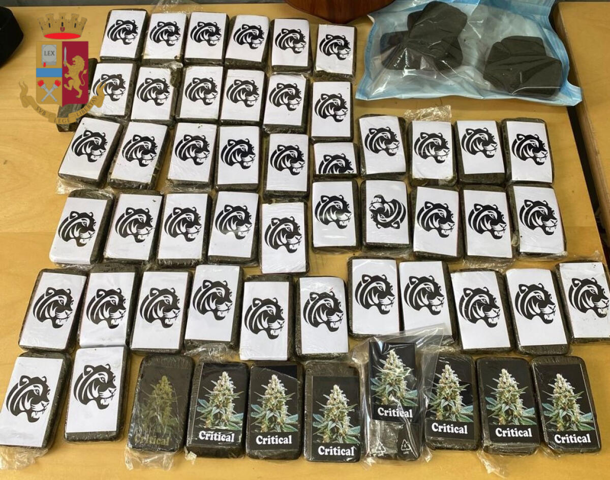 Castelli Romani, marijuana nascosta nel mangime per cani. In arresto 65enne - 