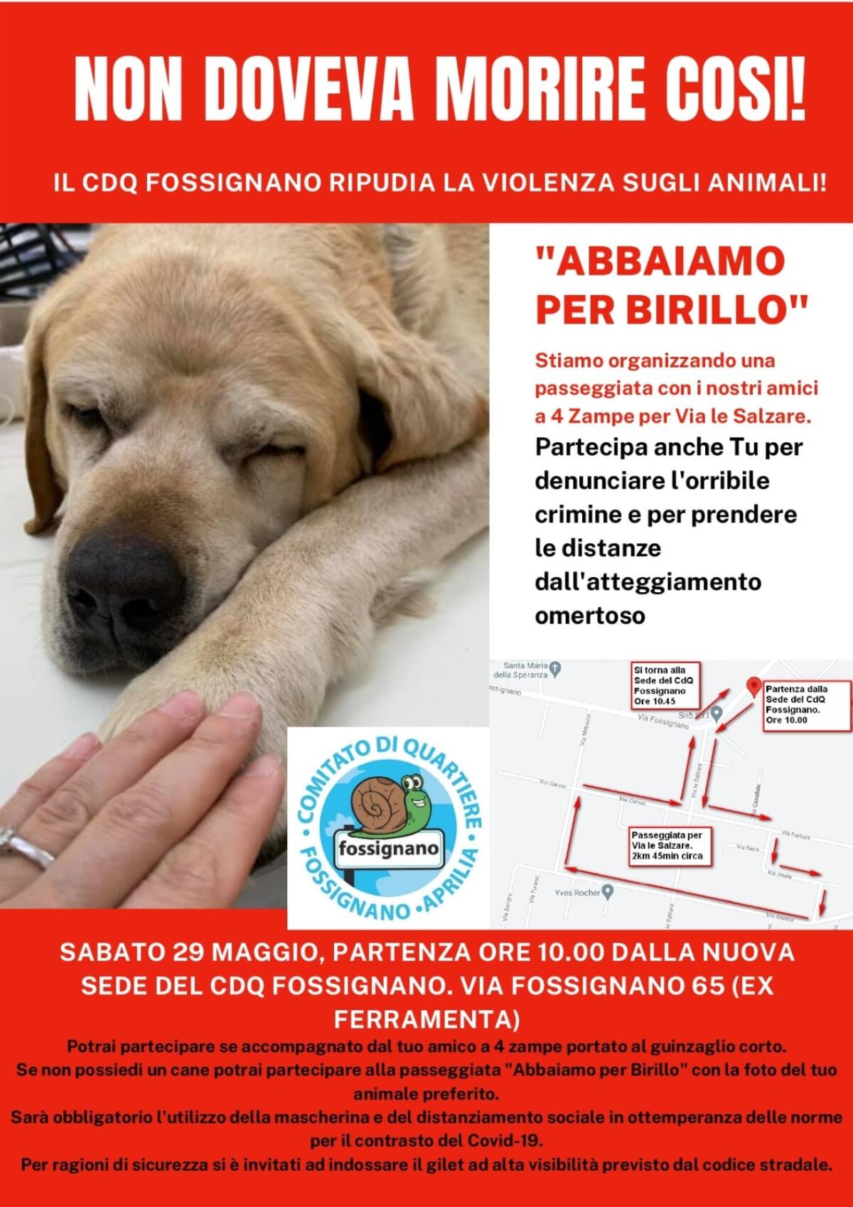Labrador ucciso a bastonate: il Comitato di Quartiere Fossignano, ad Aprilia, oggi scende in strada con i propri “pelosetti”. - 