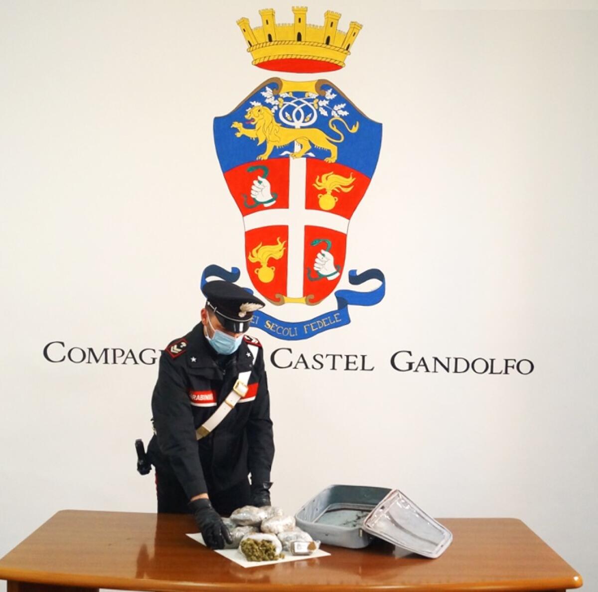 Nascondeva un ingente quantitativo di droghe nel doppio fondo di una cassettiera. I Carabinieri arrestano un 44enne di Albano. - 