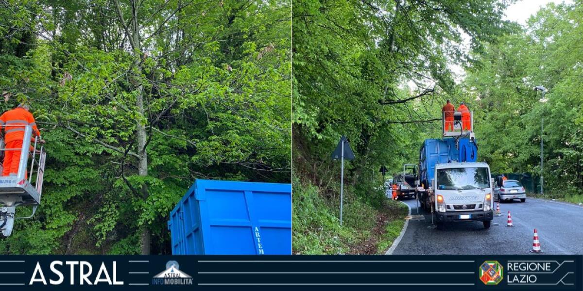 Viabilità: restringimento di carreggiata sulla strada regionale 218 di Rocca di Papa per lavori di potatura. - 