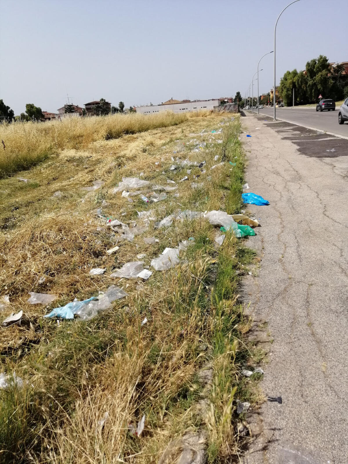 Rifiuti ovunque dopo il mercato settimanale del sabato ad Aprilia. Il Comune prenda provvedimenti. - 