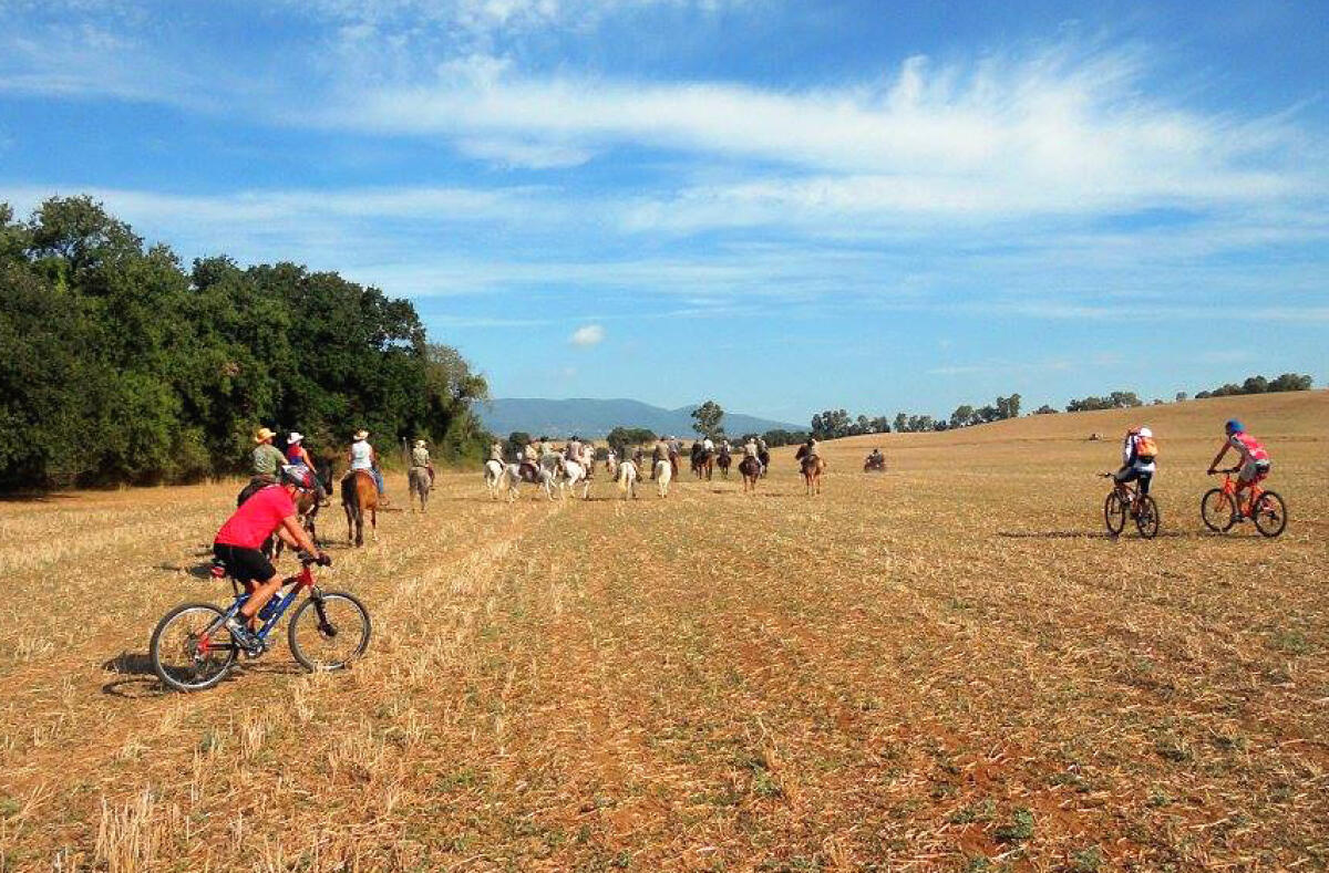 Transumanza 2021,  tre giorni di cammino nella storia - 