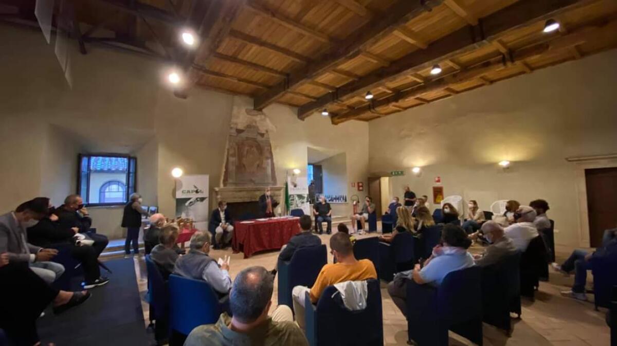 Concorso provinciale “l’olio delle colline”: premiati i vincitori della XVI Edizione - 