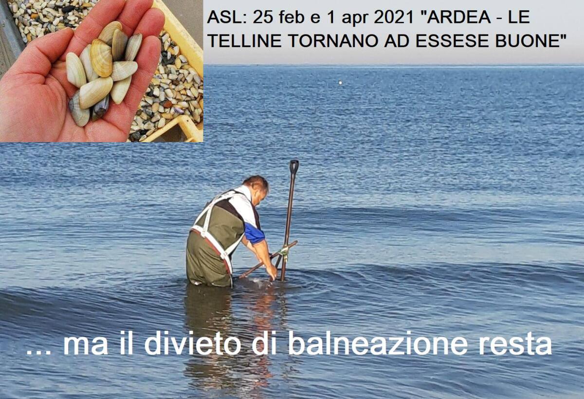 Divieto di balneazione ad Ardea tra le foci del Rio Grande e il Rio Torto. Il sindaco scrive alla Pisana: "Si possono pescare telline, ma niente bagno? Perché" - 