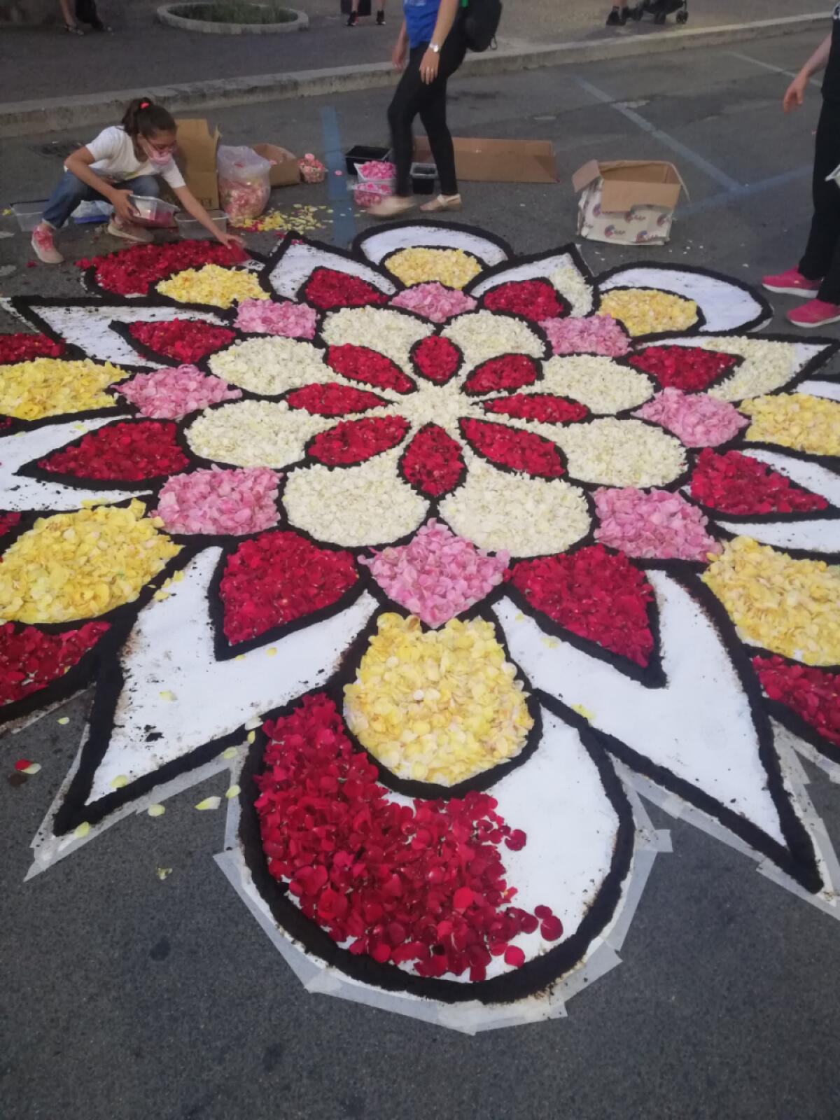 Aprilia in fiore, in centro le opere dei maestri infioratori FOTO - 
