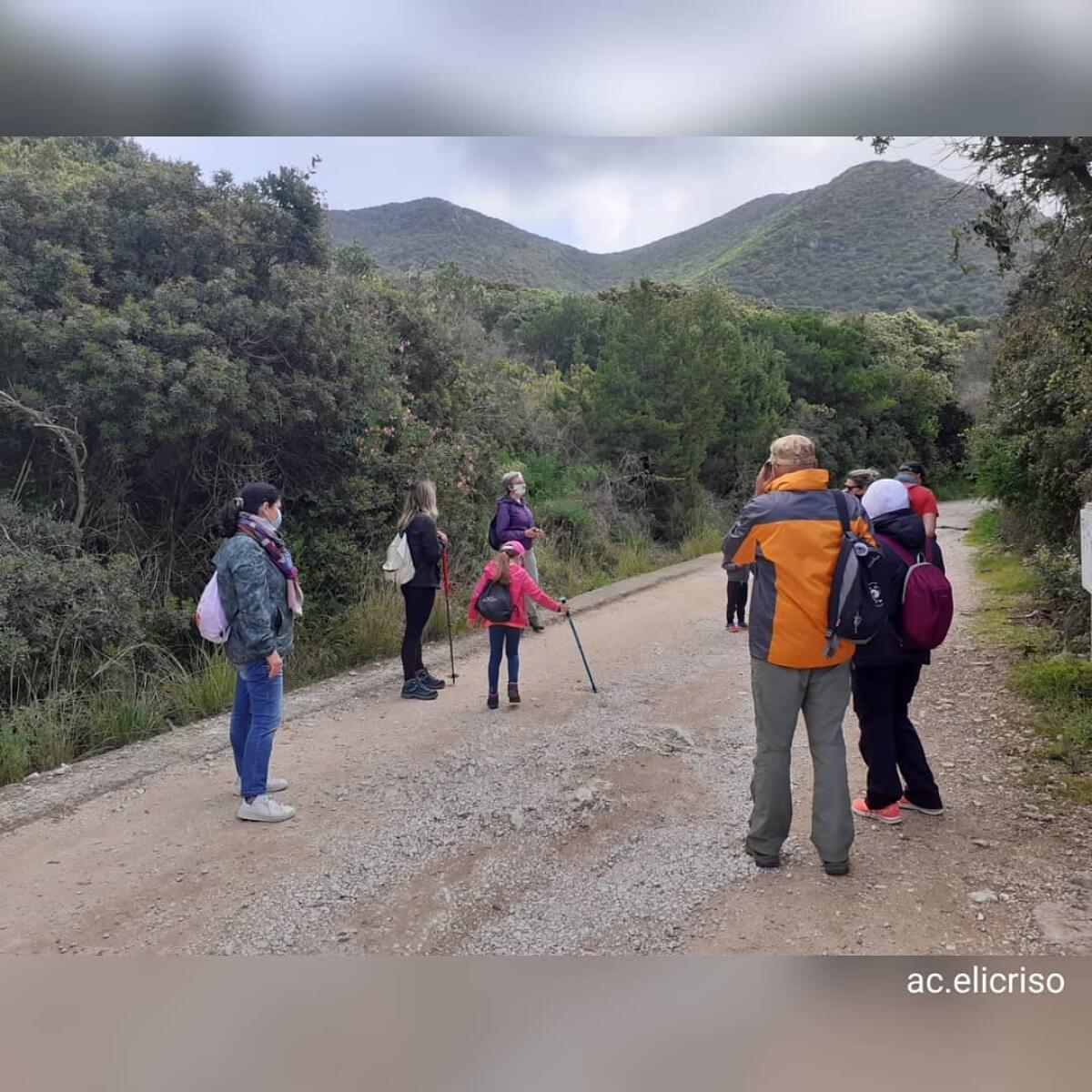 Tai Chi Chuan questa domenica nella foresta planiziaria del Parco Nazionale del Circeo. - 