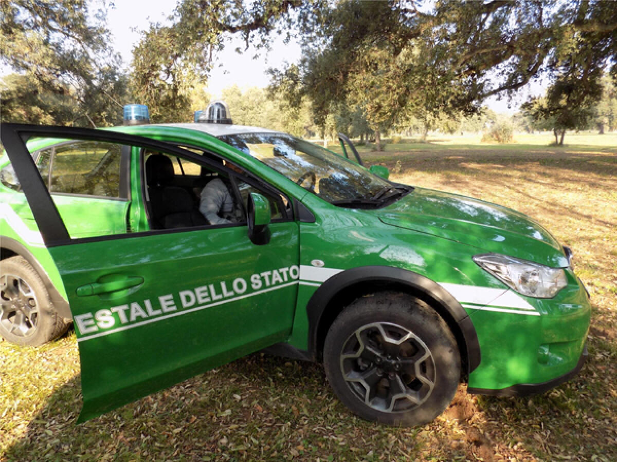 Smaltiva illecitamente rifiuti speciali pericolosi: i Carabinieri Forestali di Latina denunciano una persona ed eseguono un ingente sequestro. - 