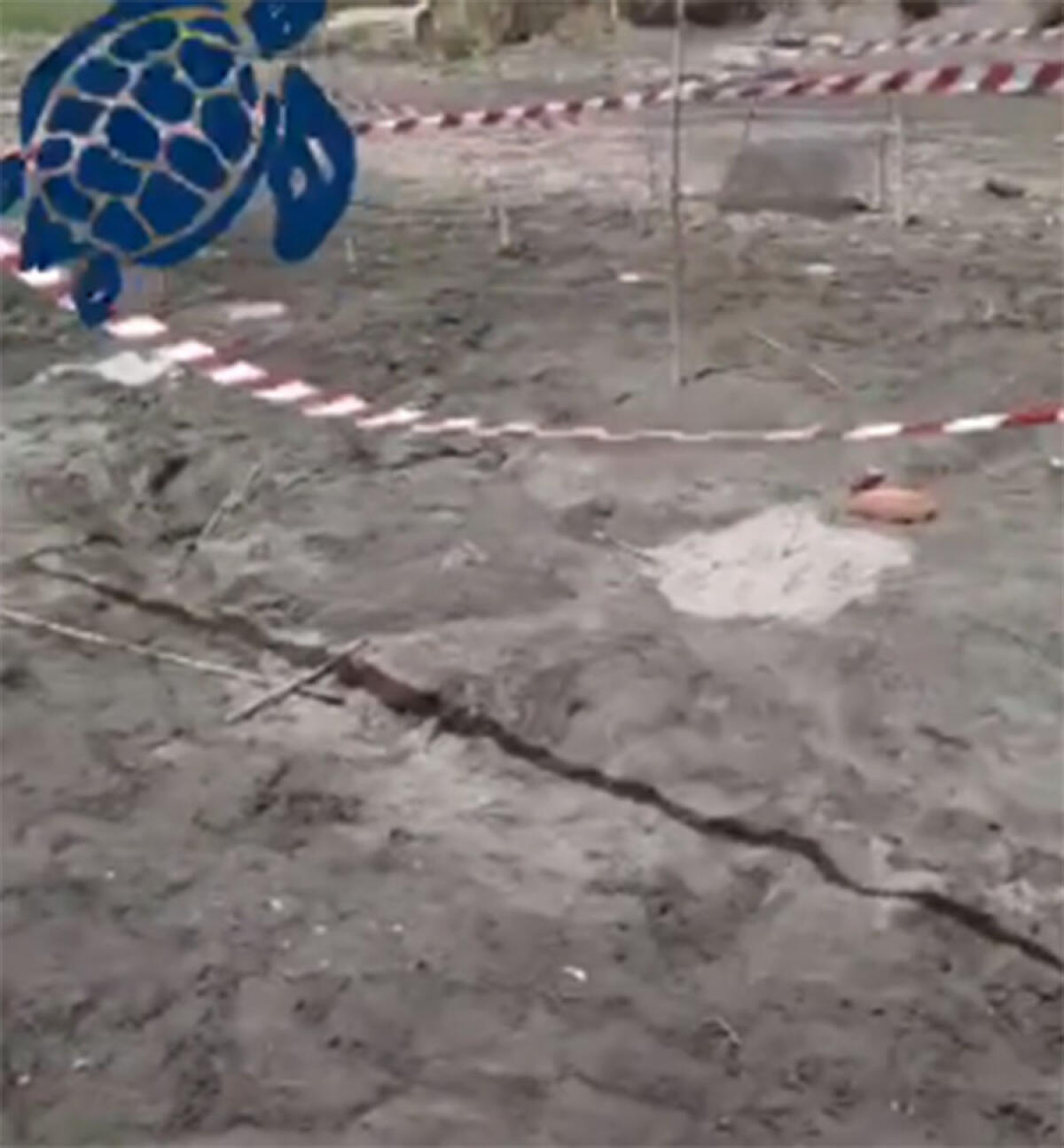 Caretta Caretta depone le uova sulla spiaggia del Poligono di Nettuno - 