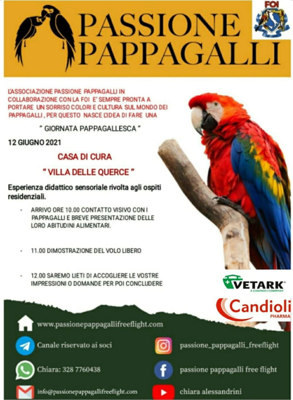 Dimostrazione di volo libero con i pappagalli alla Casa di Cura Villa delle Querce di Nemi - 