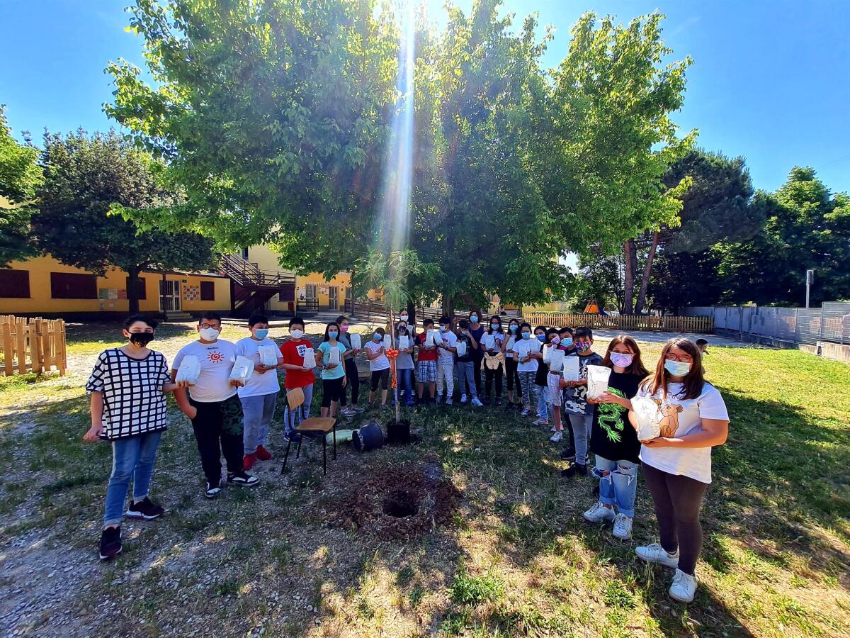 APRILIA - i bambini del plesso Montarelli – Pascoli - salutano la scuola primaria con la messa a dimora di un albero. - 
