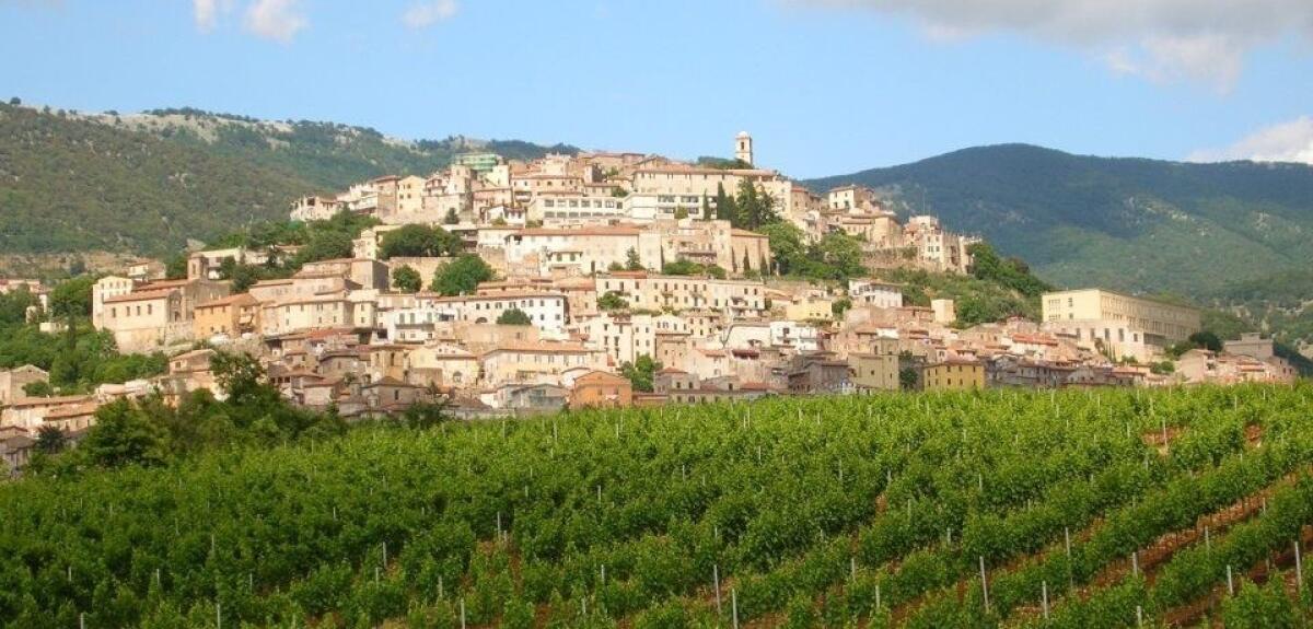 Maltrattamenti in famiglia, a Cori 55enne in arresto - 