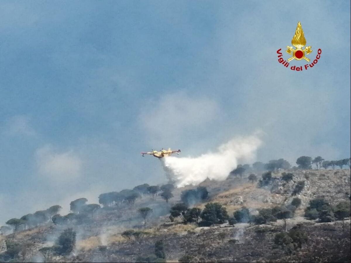 Incendio Fondi, in località Gegni: distrutti 45 ettari di macchia mediterranea. - 