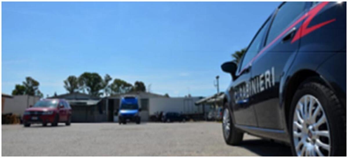 'ndrangheta - Cosca Commisso di Siderno: confisca di beni per 30 milioni di euro anche a Latina, Aprilia e Roma - 