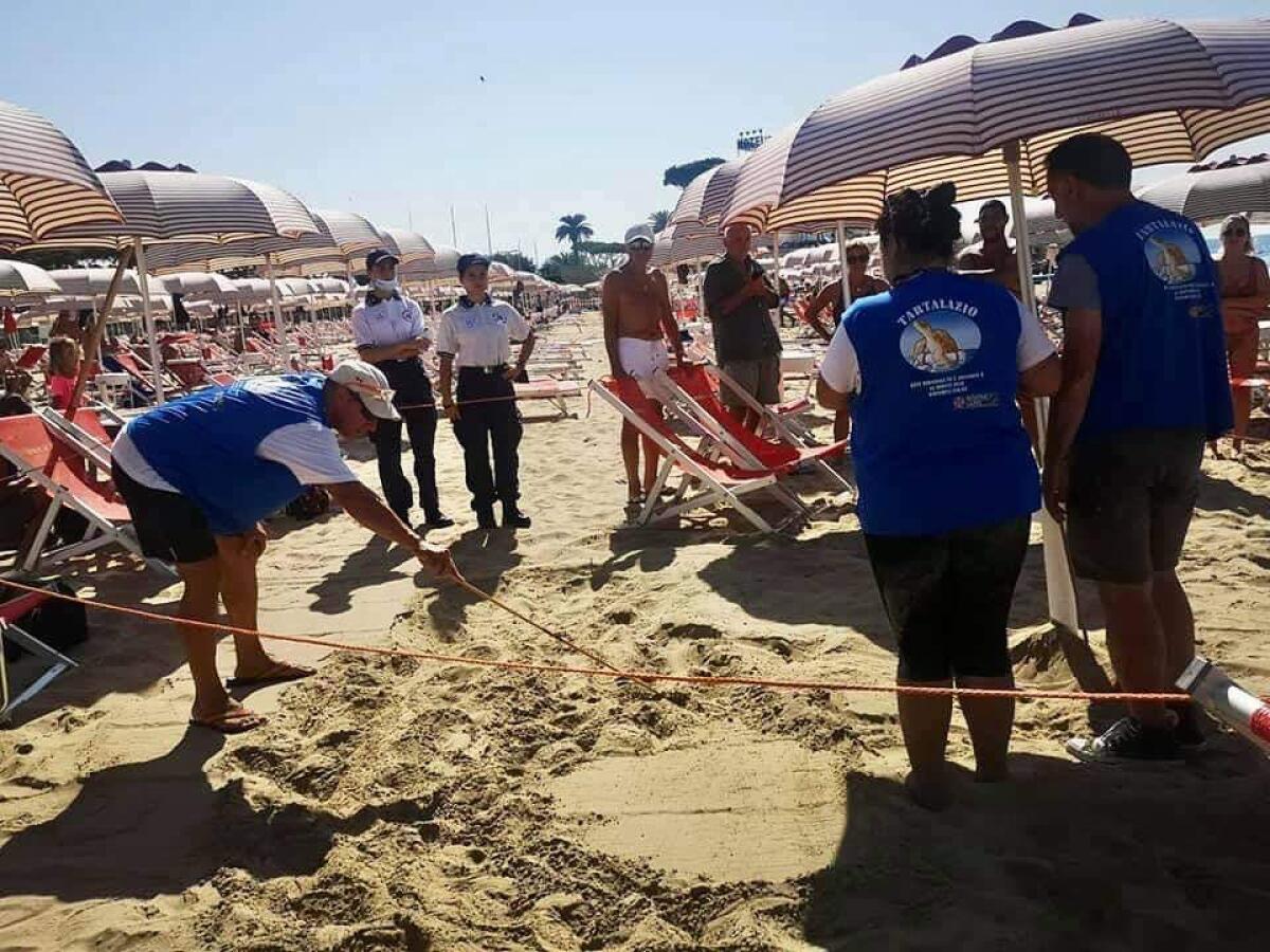 Tartaruga depone le uova a Terracina FOTO - 