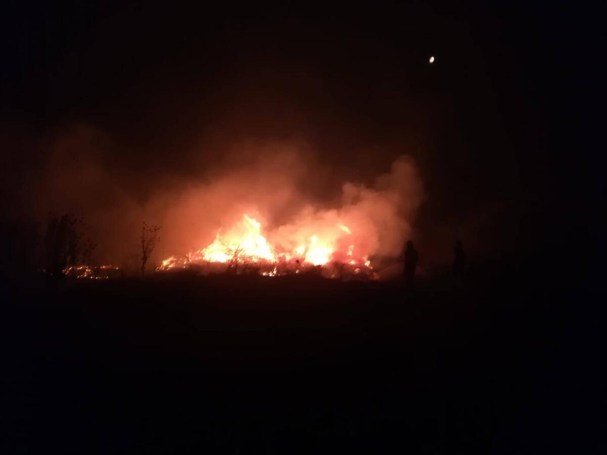 Incendi di boschi e sterpaglie: oltre 50 gli interventi effettuati dai vigili del fuoco del Comando di Roma. Indagano i Carabinieri. - 