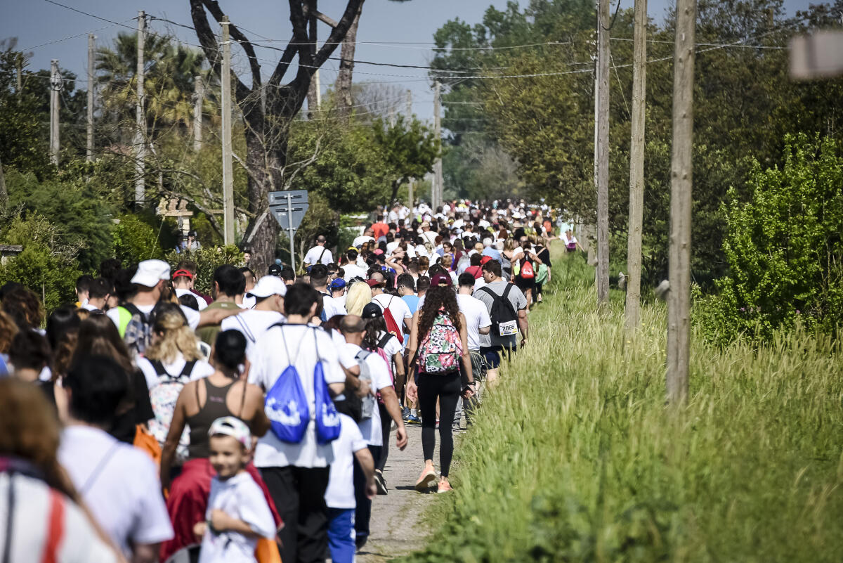 Podistica, aperte ufficialmente le iscrizioni della “Pedagnalonga”: quest’anno sarà a numero chiuso. - 
